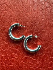 Silver Earrings Sonya Renee